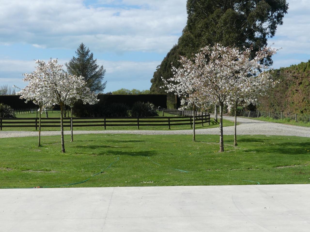 רנגיורה Bramley'S Stables And Accommodation מראה חיצוני תמונה